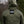 Wooby Hoody • GEN4 Ranger Green