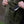 Wooby Hoody • GEN4 Ranger Green