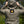 Wooby Hoody • GEN4 Desert Night