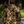 Wooby Hoody • Duck Hunt